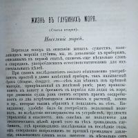 Лот: 23995344. Фото: 6. Ежемесячный журнал Знание * 1871...