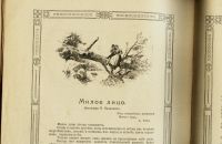 Лот: 15237219. Фото: 6. журнал * Пробуждение * № 21 от...