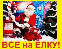 Лот: 8546858. Фото: 2. Новогодний утренник! Все на Ёлку...