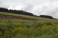Лот: 2958418. Фото: 5. Участок для жизни