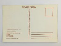 Лот: 23296482. Фото: 3. Черепаха (американская). Куба... Коллекционирование, моделизм
