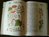 Лот: 10448702. Фото: 3. Атлас-определитель "От земли до... Литература, книги