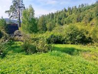 Лот: 25527366. Фото: 12. 2-комн. дача , СНТ Ветеран-2 СНТ...