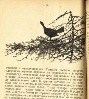 Лот: 25251820. Фото: 7. А.Н. Формозов .Шесть дней в лесах...
