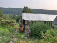Лот: 14111844. Фото: 14. продам дачу в Сорокино