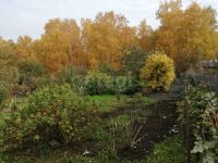 Лот: 25810523. Фото: 6. участок , садоводческое некоммерческое...