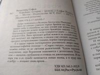 Лот: 17829629. Фото: 2. оз...(16..013) Ролдугина Софья... Литература, книги