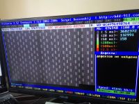 Лот: 10006876. Фото: 2. Western Digital WD5000AADS 500... Комплектующие