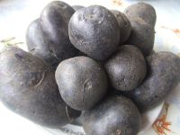 Лот: 3168253. Фото: 2. Американский фиолетовый картофель... Семена, рассада, садовые растения