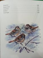 Лот: 19657726. Фото: 3. Книга Русские сказки о природе... Литература, книги