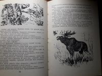 Лот: 13983223. Фото: 4. Бианки "повести и рассказы" 1977. Красноярск