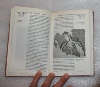 Лот: 24871743. Фото: 7. Бацалев Владимир. Исчезнувшие...