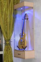 Лот: 3725164. Фото: 4. Шкаф для гитары с подсветкой. Красноярск