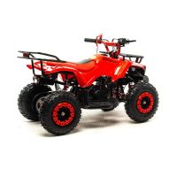 Лот: 25759458. Фото: 5. Квадроцикл MOTOLAND 50 Scorpion...