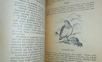 Лот: 24890279. Фото: 7. Охота на полевую, степную, пустынную...