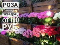 Лот: 9086143. Фото: 20. Розы в шляпной коробке