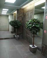 Лот: 12036013. Фото: 3. 2 комн Линейная 116 Арбан смарт... Недвижимость