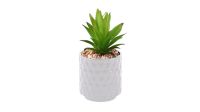 Лот: 24700273. Фото: 3. Растение искусственное Succulente... Домашний быт