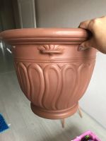 Лот: 16459815. Фото: 2. Горшок для цветов. Комнатные растения и уход