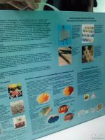 Лот: 12977564. Фото: 4. Раскраска по номерам "Лошадь"