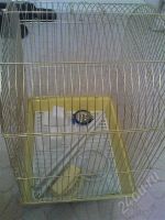 Лот: 732129. Фото: 3. клетка для птицы. Растения и животные