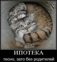 Лот: 4141272. Фото: 7. Комната в общежитии