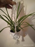 Лот: 19622146. Фото: 2. Подвесное кашпо макраме. Ручная работа