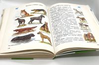 Лот: 25412283. Фото: 15. 📗 А. Плешаков. От земли до неба...