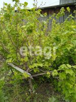 Лот: 25297367. Фото: 11. 2-комн. дом , посёлок Бузим Школьная...
