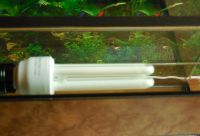 Лот: 6943500. Фото: 4. аквариум с водозащищенным светильником... Красноярск