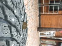 Лот: 16544931. Фото: 6. nokian hakkapeliitta 9