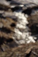 Лот: 6431918. Фото: 4. Meyer-Optik Gorlitz Trioplan 50...