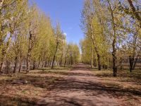 Лот: 19933688. Фото: 20. 4-комн. квартира , Красноярск...