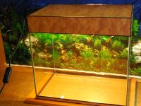 Лот: 6943500. Фото: 3. аквариум с водозащищенным светильником... Растения и животные