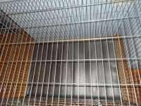 Лот: 3762596. Фото: 2. Большая, просторная клетка для... Животные и уход