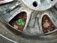 Лот: 16097313. Фото: 6. Bridgestone blizzak r15 5*114...