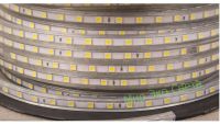 Лот: 6563867. Фото: 3. Светодиодная лента SMD 5050/60... Строительство и ремонт