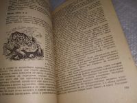 Лот: 18956417. Фото: 7. Oz (4092322) Акимушкин И. И...