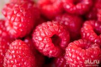 Лот: 9071104. Фото: 2. Малина, черника свежая/замороженная... Продукты