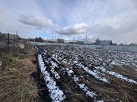 Лот: 23245850. Фото: 3. участок , деревня Таскино Коржановская... Недвижимость