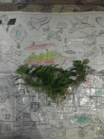 Лот: 8539512. Фото: 2. Анубиас аквариумное растение. Аквариумистика