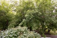 Лот: 25665492. Фото: 15. 2-комн. квартира , Красноярск...