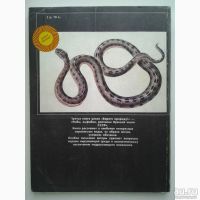 Лот: 18561755. Фото: 2. Никитский Николай, Сидоров Андрей... Наука и техника