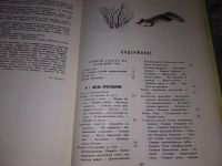 Лот: 12332954. Фото: 16. Виталий Бианки. Собрание сочинений...