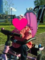 Лот: 6775174. Фото: 2. Велосипед 3-х кол Family Trike