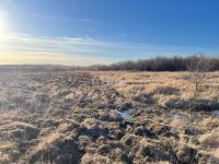 Лот: 25298126. Фото: 14. участок , посёлок Логовой Берёзовая...