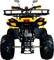 Лот: 25363069. Фото: 4. Квадроцикл AVANTIS Patriot M. Красноярск