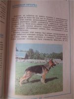 Лот: 9214483. Фото: 2. Служебное и декоративное собаководство. Дом, сад, досуг