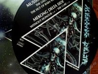 Лот: 2000860. Фото: 2. Mekong Delta "The Gnom" Picture... Коллекционирование, моделизм