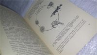 Лот: 11647768. Фото: 3. Профилактика глистных заболеваний... Литература, книги